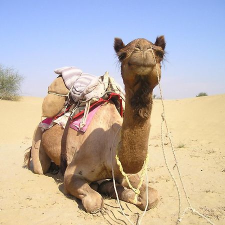 Hotel Royal Jaisalmer Eksteriør billede