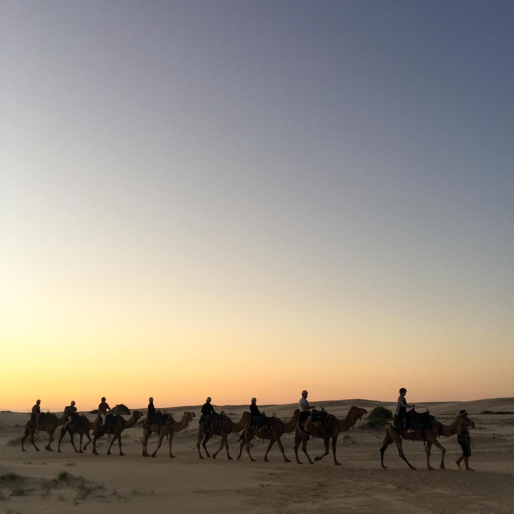 Hotel Royal Jaisalmer Eksteriør billede