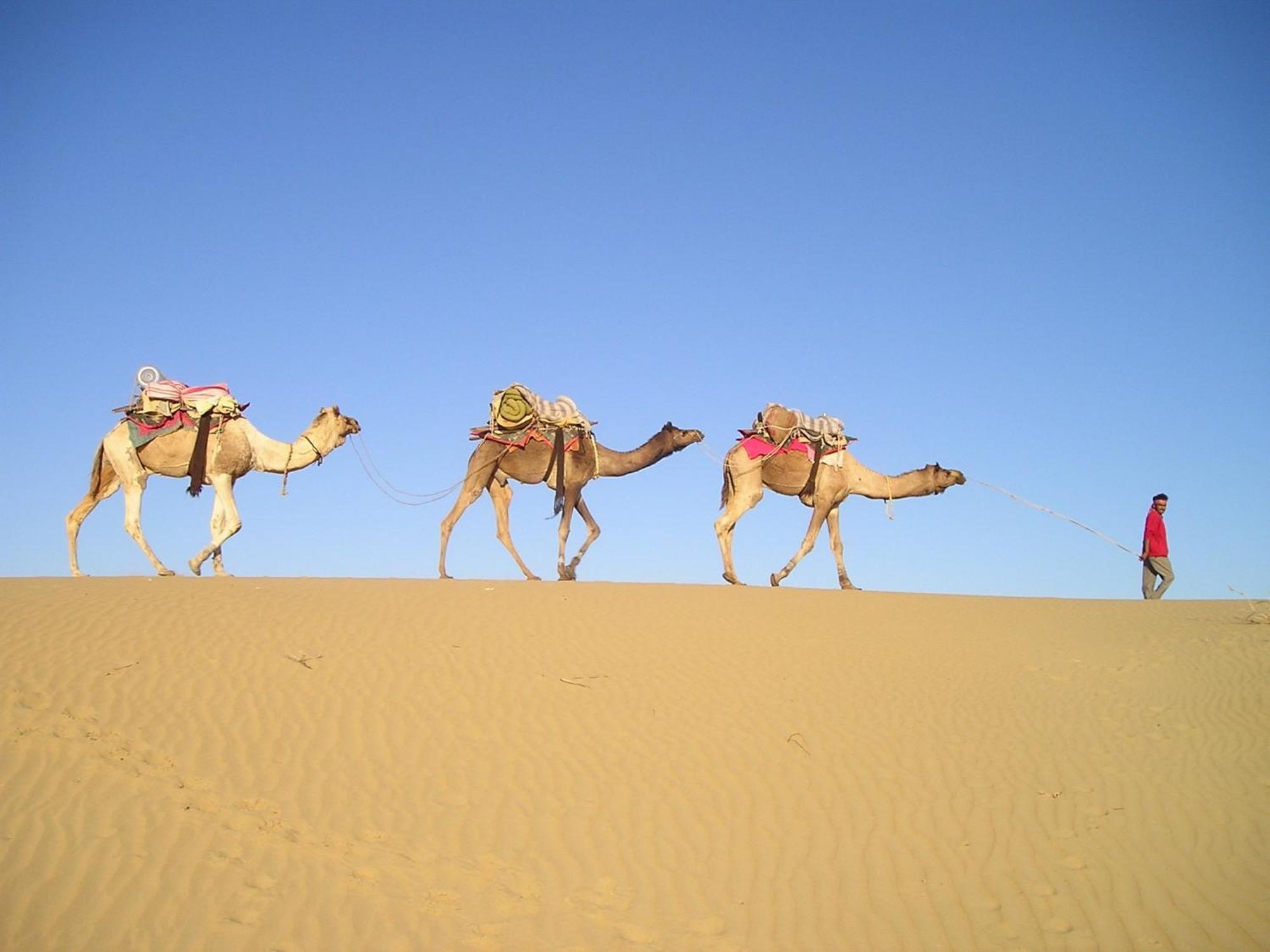 Hotel Royal Jaisalmer Eksteriør billede